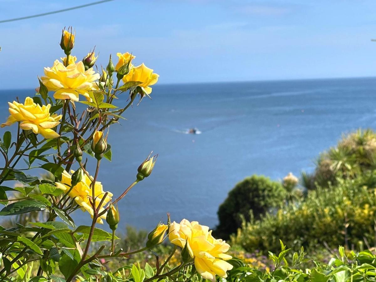 Mousehole Cottage Пензанс Екстериор снимка